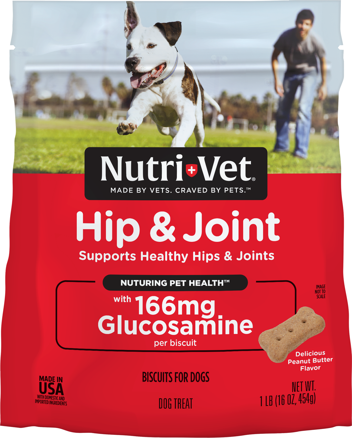 Nutri-Vet Hip & Joint Dog Biscuits Peanut Butter 16 oz 669125002100