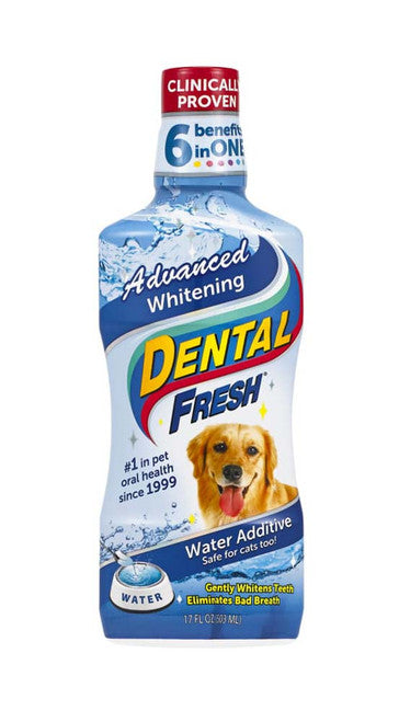 Synergy Labs Advanced Whitening Liquid for Dogs 17 fl. oz - Dog