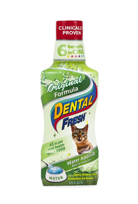 Synergy Labs Dental Fresh for Cats 8 Fl. oz - Cat
