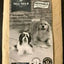 Tall Tails Dog Waterproof Pad Xlarge 42x27 {L - x}