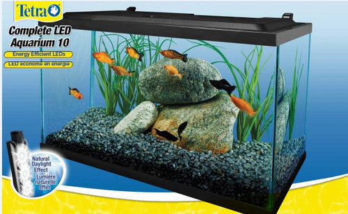 Tetra Deluxe LED Aquarium Kit Clear Black 10 gal 20x10x12
