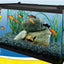 Tetra Deluxe LED Aquarium Kit Clear, Black 10 gal 20x10x12 in