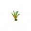 Tetra GloFish Plant Green/Orange - Small {L+1} 309615 046798780397