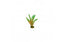 Tetra GloFish Plant Green/Orange - Small {L + 1} 309615 Aquarium