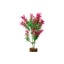 Tetra GloFish Plant Green/Pink - Medium {L + 1} 309608 Aquarium