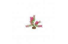 Tetra GloFish Plant Green/Pink - Small {L+1} 309607 046798780311