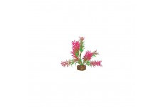 Tetra GloFish Plant Green/Pink - Small {L + 1} 309607 Aquarium