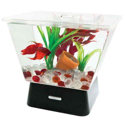 Tetra LED Trapezoid Betta Tank Clear 1 gal - Aquarium