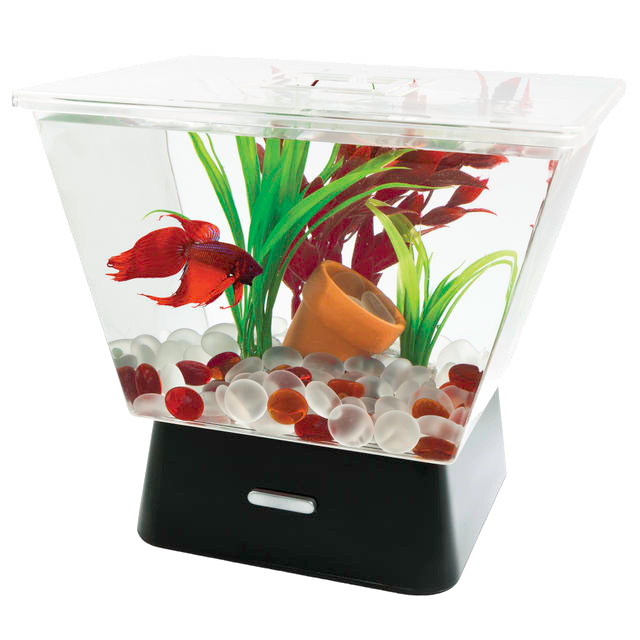 Tetra LED Trapezoid Betta Tank Clear 1 gal