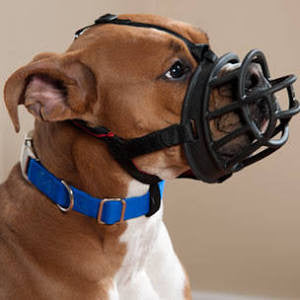 The Company Of Animals Baskerville Ultra Muzzle For Dogs - dogs 10 - 15 Lbs (size 1) - {L + x} - Dog