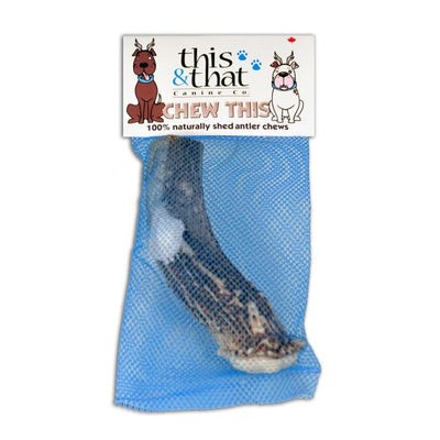 This & That Dog Toughest Antler Large 4.5oz {L+x} 837654827048