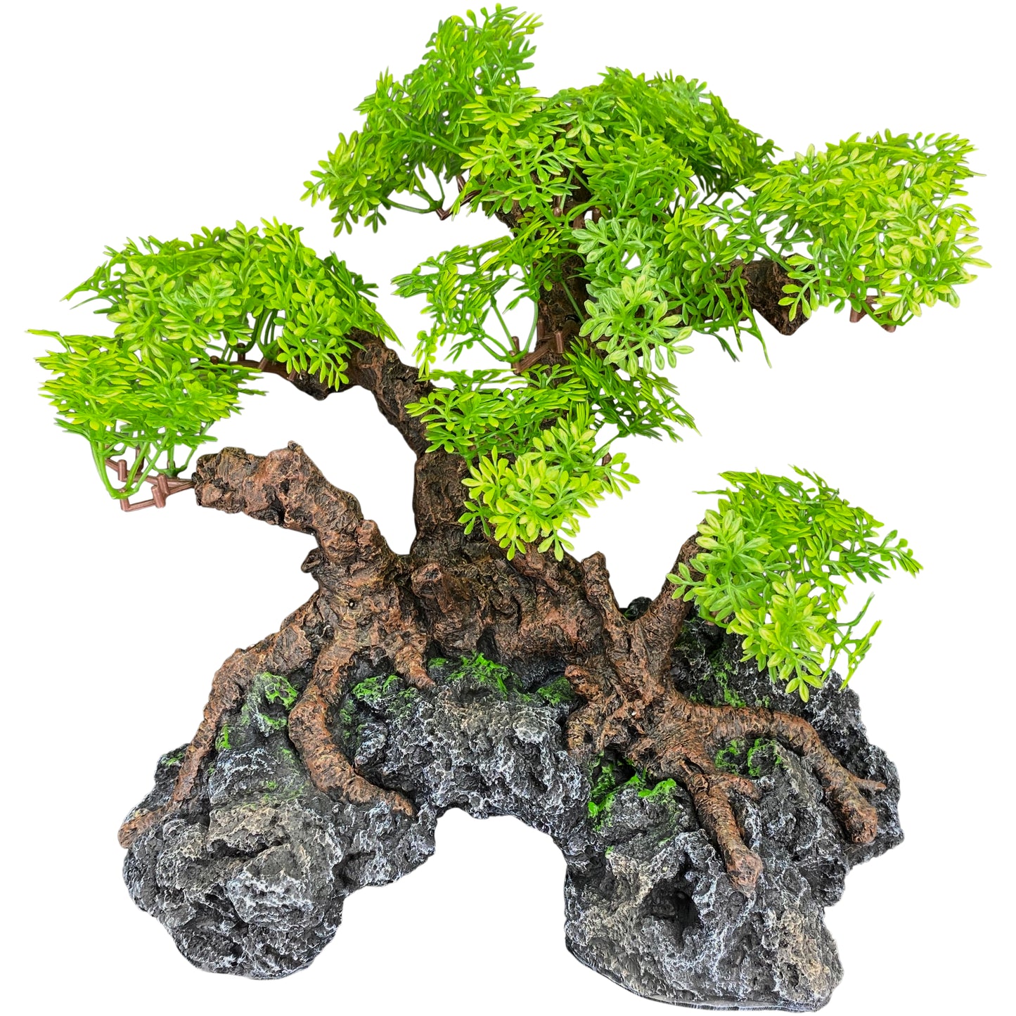 Komodo Bonsai Tree w/ Hide 18 in 784369933741