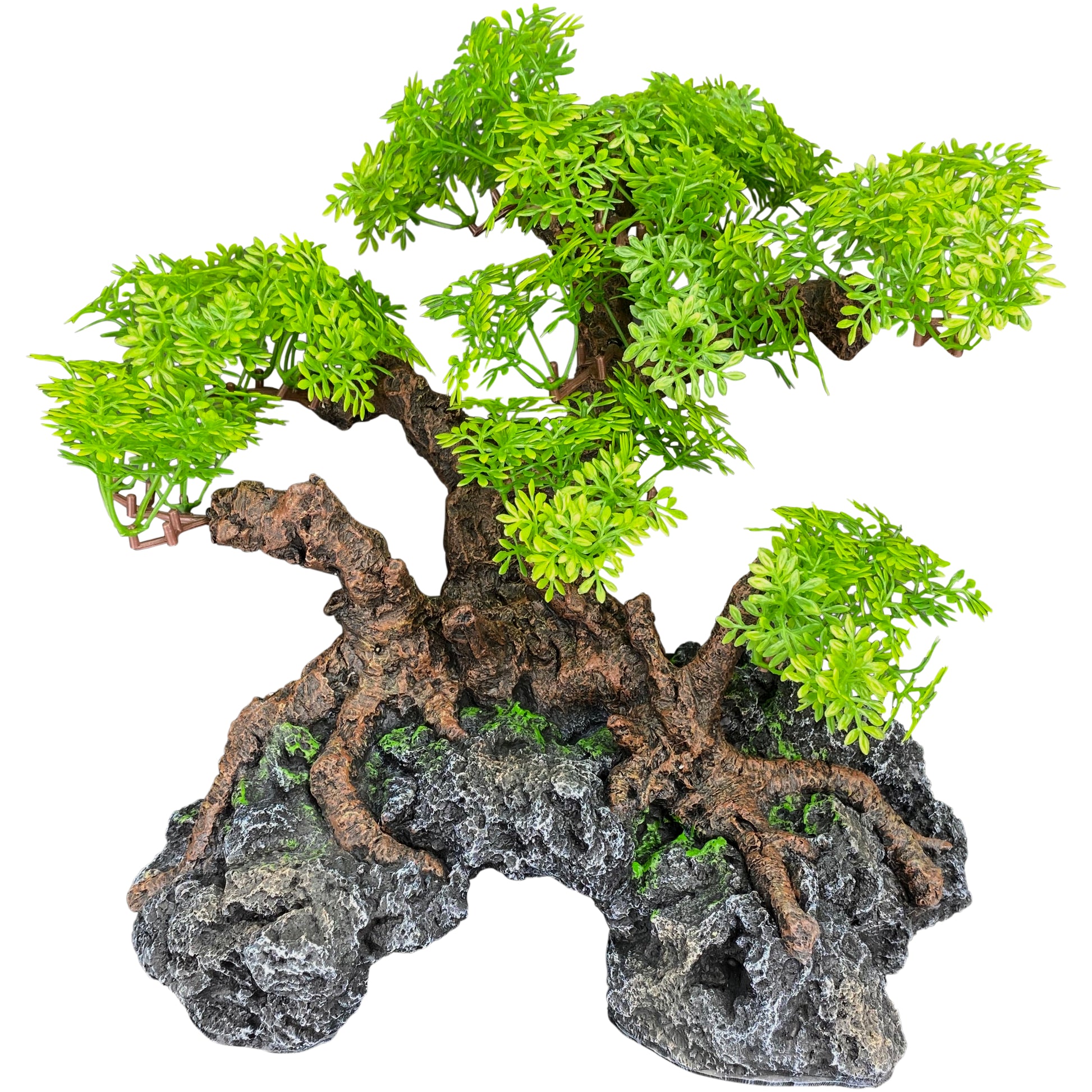 Komodo Bonsai Tree w/ Hide 18 in 784369933741