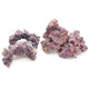 CaribSea LifeRock Nano Reef Kit 18 in 008479003119