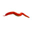 Tuffy Desert Snake Red Dog Toy