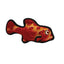 Tuffy Ocn Crtre fish Red - Dog