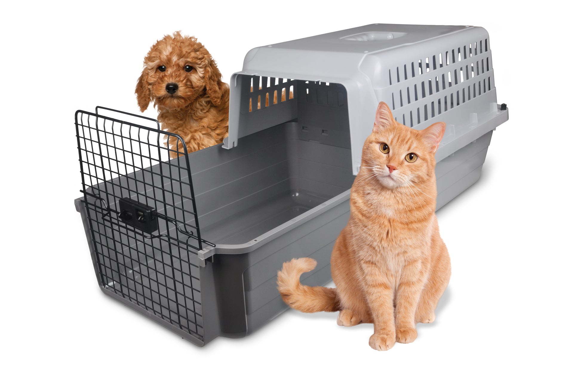 Van Ness Plastics Calm Carrier Max w/E-Z Load Sliding Drawer 35 lb 079441004953