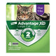 Elanco Advantage XD Topical Flea Protection for Cats 4 doses (8 months of protection) Large Cats (Over 9Lbs) 727804567514