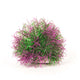 Aquatop Ball Aquarium Plant with Weighted Base Purple, Green 5 in 819603015973