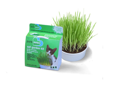 Van Ness Plastics Pureness Oat Garden Kit 4oz