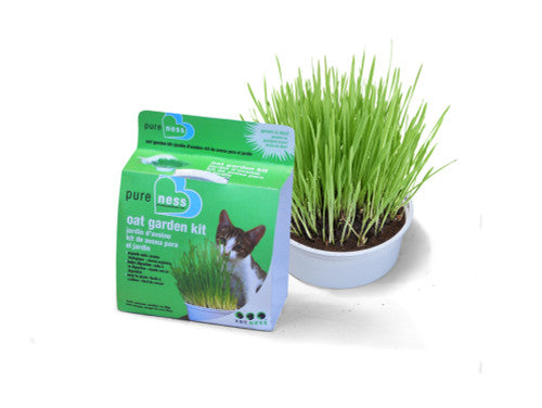 Van Ness Plastics Pureness Oat Garden Kit 4oz - Cat
