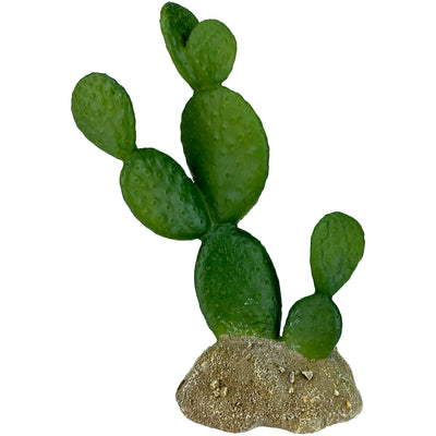 Komodo Cactus Plant Prickly Pear 6.3 in 784369933222