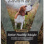 Victor Super Premium Dog Food Purpose Senior Healthy Weight Dry Beef & Brown Rice 40lb