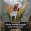 Victor Super Premium Dog Food Purpose Senior Healthy Weight Dry Dog Food Beef & Brown Rice 40lb