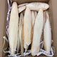 A & E Cages Cuttlebone Pieces Bulk Box 6-8 in, 5 lb 644472008913