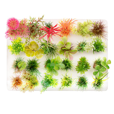 Aquatop Boxed Plastic Aquarium Plants Assorted Color Multi-Colored Assorted Color 2-3 in, 24 pk 819603014686