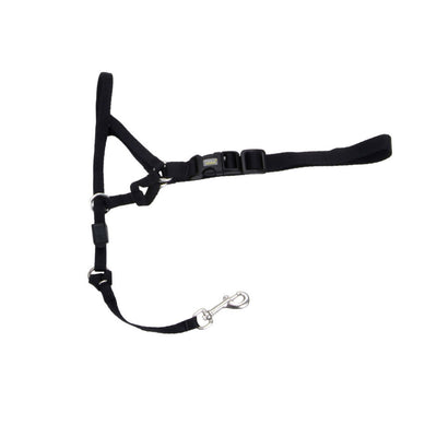 Walk 'n Train Dog Head Halter Black LG