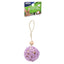 Ware Hanging Festive Chew Toy - Small - Pet