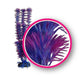 Weco Dream Series Fuschia Fern Aquarium Plant Pink Purple 6