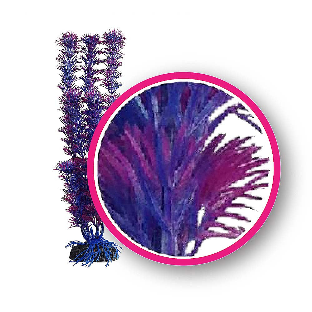Weco Dream Series Fuschia Fern Aquarium Plant Pink, Purple 9 in