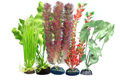 Weco Freshwater Aquarium Plant 105 Assorted Multipack