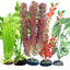 Weco Freshwater Aquarium Plant 105 Assorted Multipack
