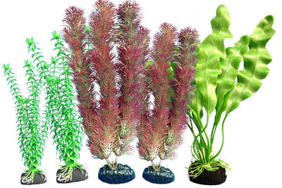 Weco Freshwater Aquarium Plant 108 Assorted Multipack