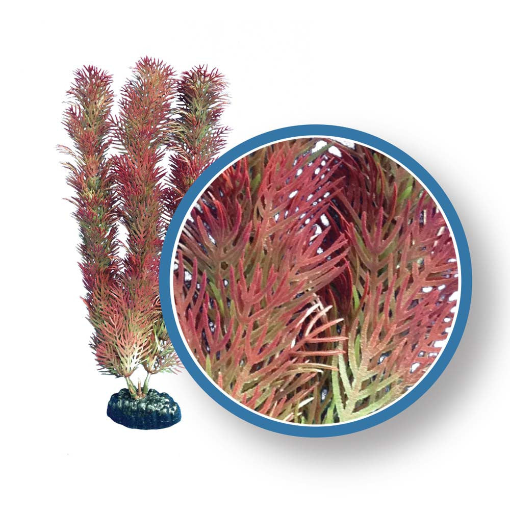 Weco Freshwater Pro Series Cabomba Aquarium Plant Red 12 in