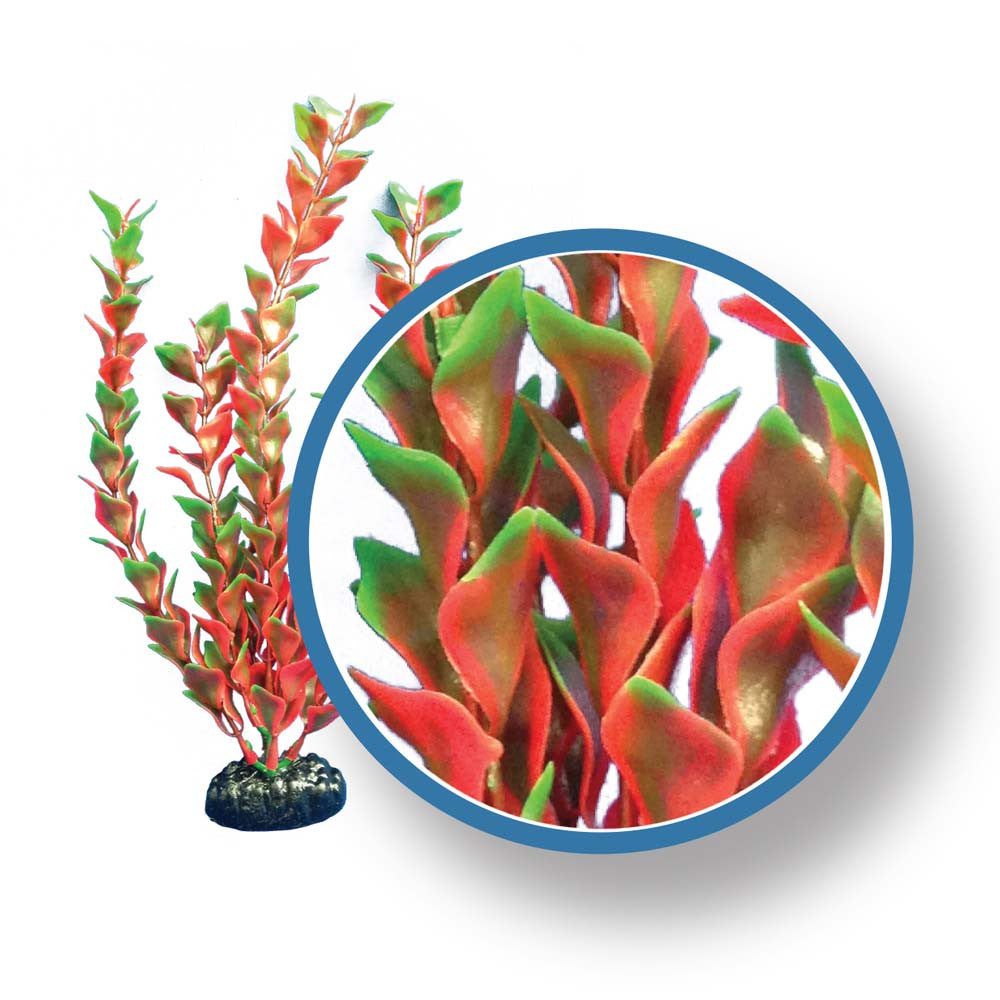 Weco Freshwater Pro Series Ludwigia Aquarium Plant Red 30 in