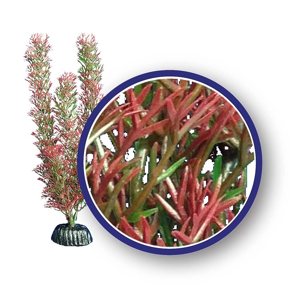 Weco Freshwater Series Foxtail Aquarium Plant Red 12 in