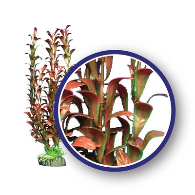 Weco Freshwater Series Hygrophilia Aquarium Plant Red 12 in