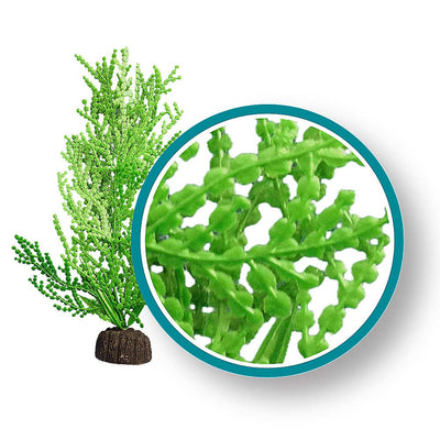 Weco Marine Pro Series Giant Halimeda Aquarium Plant Green 12 in