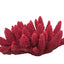 Weco South Pacific Coral Acorapora Humilis Ornament Rose MD - Aquarium