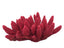 Weco South Pacific Coral Acorapora Humilis Ornament Rose MD - Aquarium