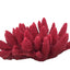 Weco South Pacific Coral Acorapora Humilis Ornament Rose MD