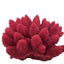Weco South Pacific Coral Acorapora Humilis Ornament Rose SM