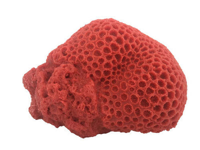 Weco South Pacific Coral Brain Ornament Orange LG - Aquarium