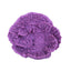 Weco South Pacific Coral Capricornis Ornament Lavender SM - Aquarium