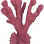 Weco South Pacific Coral Cats Paw Ornament Rose MD - Aquarium