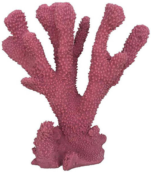 Weco South Pacific Coral Cats Paw Ornament Rose MD - Aquarium